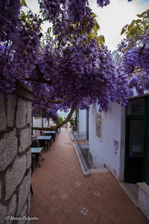 Hotel 4 Stagioni Capri Ngoại thất bức ảnh