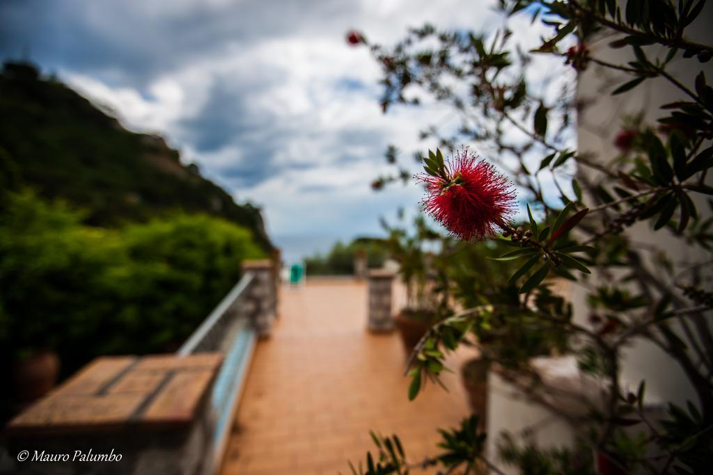Hotel 4 Stagioni Capri Ngoại thất bức ảnh